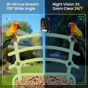 Outdoor Waterproof Solar Bird Feeder Camera AI Animal Recognition WiFi Smart APP Remote Video for Garden Courtyard Bird Watching