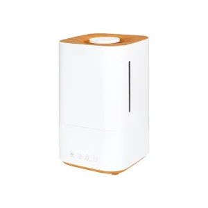 Ozone Smart Home Appliances for Living Room Bedroom Odor Elimination Sterilization Smart Ozone Mist Output