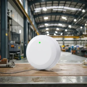 P2 Smart Waterproof IP67 Real time Asset Tracking Iot Device Programmable BLE 5.0 IBeacon Eddystone Long Range Sensor Beacon Tag