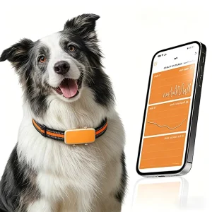 Pet AI Health Monitoring Collar Smart Anti Loss Waterproof Device Dogs Tracker Heart Rate GPS Beidou Glonass ABS Android