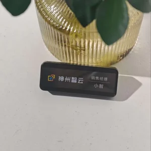 Portable Digital Voice Recorder ChatGpt MP3 Format AI Transcription WiFi APP Control Mono Stereo Recording Long Time Recording