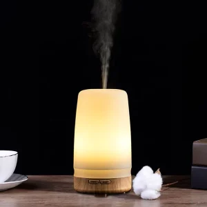 Portable New 100ml Air Aromatherapy Scent Machine Essential Oil Humidifier Aroma Diffuser