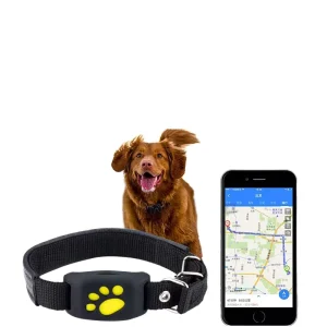 Premium Smart GPS Pet Tracker for Cats Dogs Waterproof Nylon Safety Device with Locator Accessories Android OS Viewable on PC
