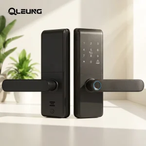 QLEUNG S850 Fingerprint Locks Smart Home Digital Door Lock Tuya Wi Fi Card Key Code Smart Lock for Home Apartment