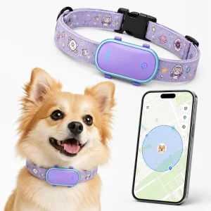 Qcool Find Pet Step Counting Remote Power Off Glow in Dark GPS LBS Fast Positioning Custom Logos Design Collar Inteligente Perro