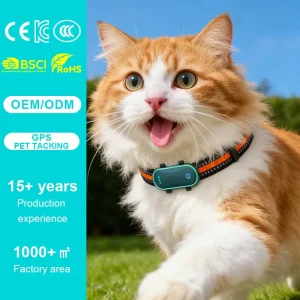 Qcool Multiple Positioning Modes IP67 Waterproof Remote Power Off LTE Connection Manufacturer Custom Logo OEM Smart Pet Tracker
