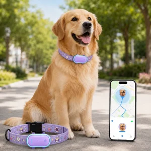 Qcool Real Time Positioning Movement Tracking Behavior Correction Sound Training LTE Connection Private Label GPS Pet tracker