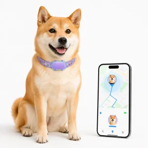Qcool Step Counting Calorie Tracking Health Report AGPS IP67 Waterproof Brand Customization Factory Direct Smart Pet Tracker