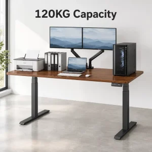 Quiet Motor Height Adjustable Desk Factory Supplier Dual Motor 3 Stage 120KG Heavy Duty Desk Frame 45dB Silent OEM