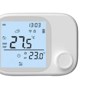 RF Wireless Wall Mounted Boiler Thermostat Smart Temperature Controller App and Voice Control for Stove Heating