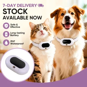 Ready to Ship IP67 Waterproof GPS Pet Tracker Smart Dog Cat Tracking Device GSM LBS Virtual Fence Activity Monitor Fast Delivery