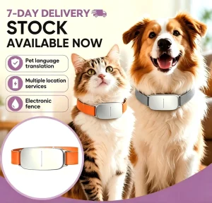 Ready to Ship Pet Translation GPS Tracker IP66 Waterproof Smart Dog Cat Tracking Device Real-time Voice Monitor Fast Delivery