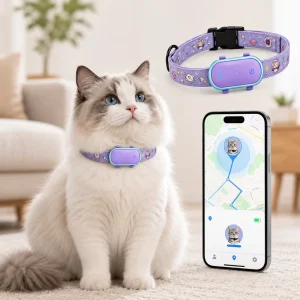 Real Time Location Tracking LED Indicator Historical Data Fast Positioning IP67 Custom Color Direct Supply GPS Dog Collar