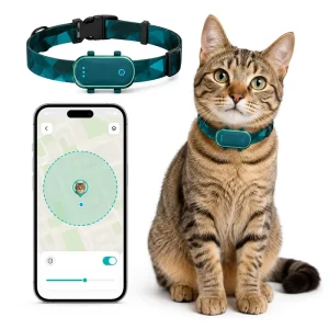 Real Time Tracking Electronic Fence Anti Lost Alert IP67 Waterproof Long Battery Life OEM Custom Logo Gps Chien Sant Chat