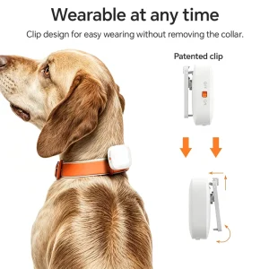 Rechargeable 4G Real Time Mini Waterproof Cat Dog Smart Pet GPS Cat Dog Pet Tracker Collar for Small Cats Dogs Locator Tracker