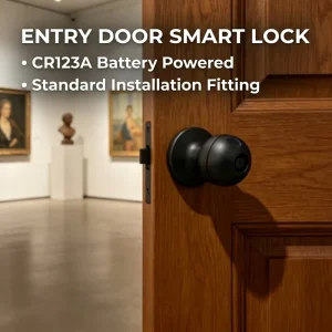 Reliable Smart Security Lock Dual Color Design 304 Stainless Steel HR Intelligent Lock Multi Unlock Ways for Residence