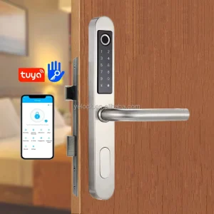 SS304 EU Mortise EURO Electronic Smart Fingerprint Door Lock with TTlock Tuya App for Aluminum Doors