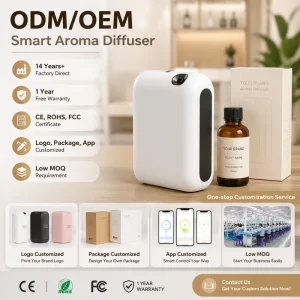 Scent Diffuser New Electric OEM Logo Wall Mounted Waterless Smart Aroma Air Machine for Home Hotel