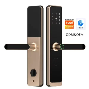 Secure Digital Electronic Handle Lock Tuya WiFi Biometric Touch TTlock Smart Lock Key Fingerprint Password Apartment Home Use