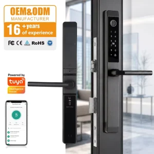 Security Electronic Waterproof Outdoor Slim Handle Digital Wifi Fingerprint Aluminum Sliding Smart Slim Door Lock