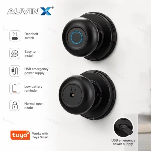 Serrures Intelligentes Fingerprint Keyless Smart Door Lock Apartment Room Tuya BT Biometric Digital Deadbolt Knob Lock