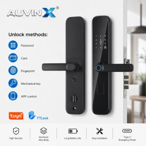 Serrures Intelligentes Smart Handle Lock Fingerprint Card Keyless Password Tuya Ttlock APPControl Electronic Digital Lock