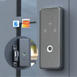 Singapore Double Side Fingerprint Smart Rim Lock Face Recog Code Card Synchronize Exist Smart Lock Lithium Battery Tuya TTlock