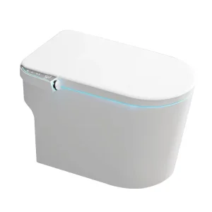 Smart Ceramic Toilet Bidet with Remote Control Heated Seat Luxurious Design-Automatic Self-Cleaning for Bathroom