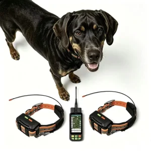 Smart Dog Collar with GPS/GSM Health Tracker Integrated Vital Monitoring (Posture/Bark) + Geofencing & 10-Level Stim Training
