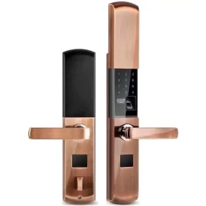 Smart Door Fingerprint Lock Security Door System with Multi Open Ways