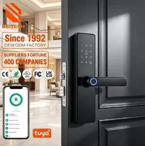 Smart Door Lock Battery Powered Various Unlocking Methods Black Electronic Home Lock
