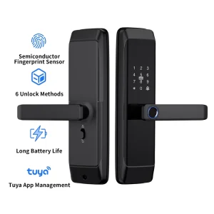Smart Door Lock R10 Wi-Fi Version WiFi APP Fingerprint Password IC Card Unlock Aluminum Alloy 4 AA Batteries 1 Year
