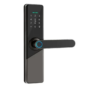 Smart Door Lock TT Lock App Biometric Fingerprint Card Cloud Features for Steel Doors Aluminium Alloy Grade C Security