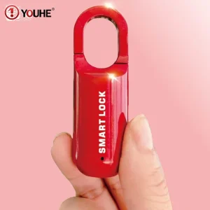Smart Door Lock Tuya WiFi Biometric Fingerprint Keyless Digital Electronic Door Lock