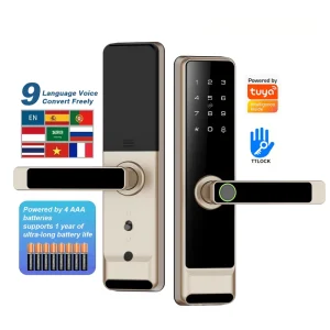 Smart Door Lock Tuya WiFi Ttlock Biometric Fingerprint Keyless Entry Cerradura Inteligente Home Security