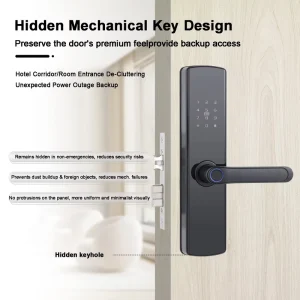 Smart Door Lock with Fingerprint Key Keypad WiFi Cloud Storage for Wood Door