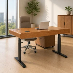 Smart Electric Standing Desk with Memory E1 MFC 25mm Dual Motor RAL9005 Frame Cable Organizer for OffIce
