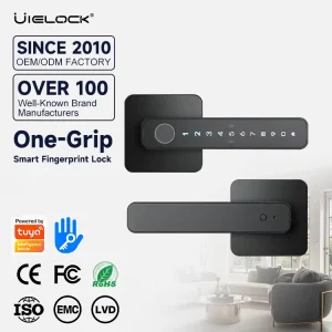 Smart Fingerprint Lever Door Lock with App Control Cloud Storage Password Fingerprint Keyless Card Wood Door Compatibility