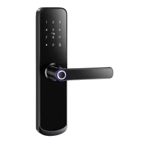 Smart Fingerprint Lock with Password RFID Card Cloud Wi Fi Enabled for Wood Steel Doors Home Hotel Apartment Office Use