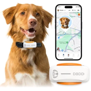 Smart GPS Dog Collar with Real Time Positioning and Alerts