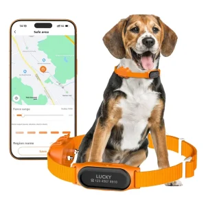 Smart GPS Pet Training Collar with Geofence App Control Real Time Tracking for Dog Safety Location