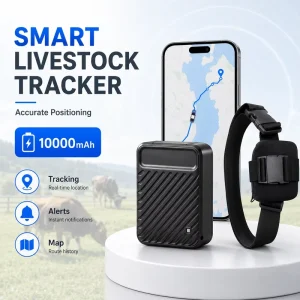 Smart GPS Tracker 2G GLONASS 10000mAh IOS App PC Time Geo-fence Entry Exit Alert History Route Playback Multiple Working
