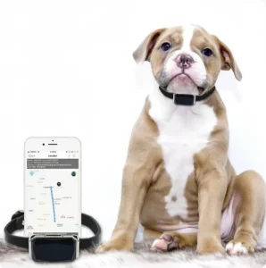 Smart Geofencing GPS Tracker with Mobile App Alerts and Real time Activity Monitoring for Safe Perimeter Area Pet Locator