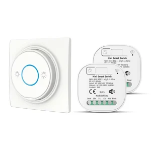 Smart Home Appliances Tuya WiFi App Intelligent Alexa Google Home Assistant Voice Control Electric Wireless Light Switch