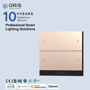 Smart Home Control Panel 4 Switch Touchscreen OLED Display BLE 5.0 HomeKit Matter 10A Hotel Home Automation System