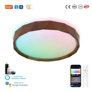 Smart Home LED Lights Tuya WiFi & Voice Control App 48W CE Certified Dimmable RGB Lights for Bedroom Living Room