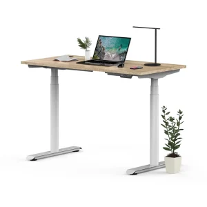 Smart Home Office Furniture Ergonomic Electric Height Adjustable Computer Table Smart OEM Sit Standing Office Desk