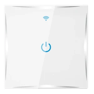Smart Home Products & Device European Standard Smart Life App Control Touch Panel 10A Smart Touch Switch for Home