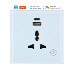 Smart Home Universal Wall Socket With USB Type-C Port APP Remote Control 16A Smart Socket Plug Timer Works Alexa Google Home