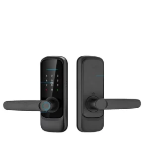Smart Indoor Bedroom Door Lock Fingerprint Password Card Aluminum Alloy Remote Control Via WiFi Cloud Data Graffiti Style
